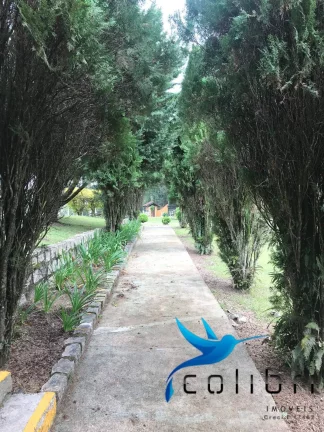 Imagem Chácara com 2 Quartos à Venda, 1.547 m² em Ximbuva - Agudos Do Sul