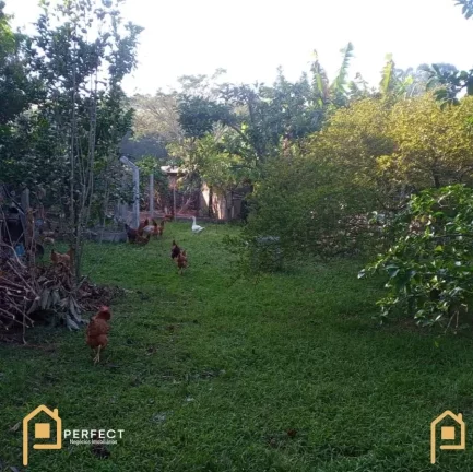 Imagem CHÁCARA PARA VENDA NO BAIRRO SETE VOLTAS EM TAUBATE SP