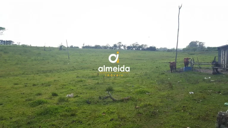 Imagem TERRENO NA BR392