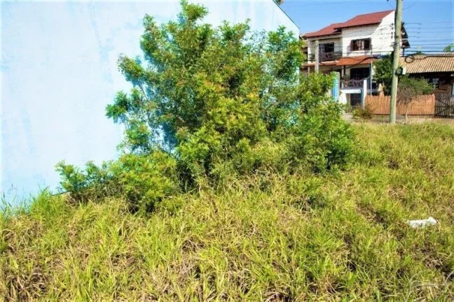 Imagem Terreno - Bairro Alto Petropolis