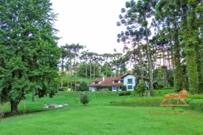 Imagem Terrenos à venda Alto Capivari - Reserva Figueiredo