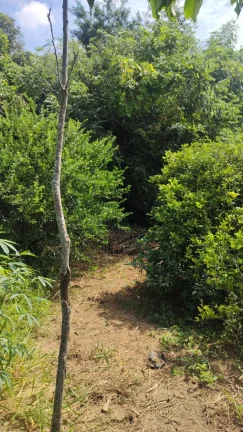 Imagem Chácara a venda com 03 dormitórios, Bairro Água Branca - Boituva/Sp