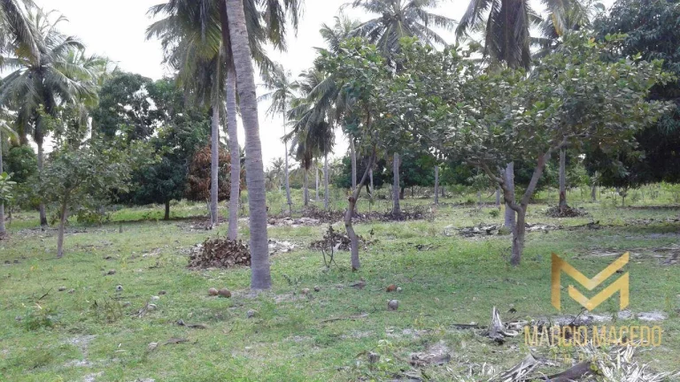 Imagem Terreno à venda, 247664 m² por R$ 1.200.000,00 - Zona Rural - Beberibe/CE