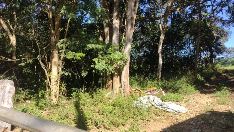 Imagem TERRENO A VENDA COM 25 MILM2 ZONA MISTA FERRAZ DE VASCONCELOS