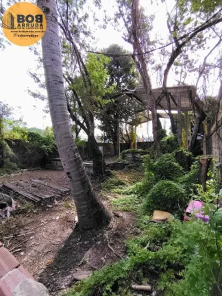 Terreno Padrão