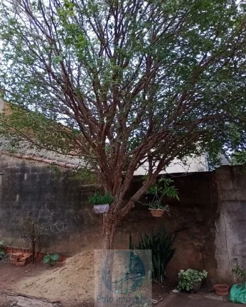 Imagem Casa vende Vila Tamandaré R$ 230.000 - 3 quartos, 1 banheiro, salão - Rib. Preto - 500 m da Av. Quito Junqueira