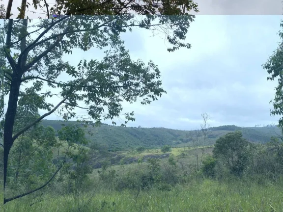 Imagem Excelente Oportunidade de Aquisição de Terreno com 13,8721 ha em Ressaquinha/MG