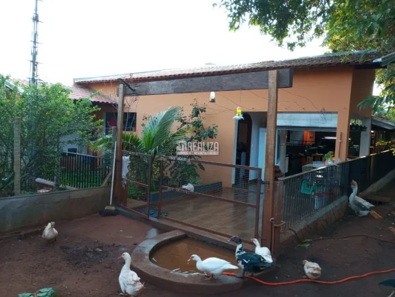 Imagem Casa à venda na Vila Elza, Aramina: 3 dormitórios e suíte!