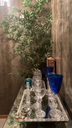 Imagem MARAVILHOSO APARTAMENTO EM SANTA LÚCIA.