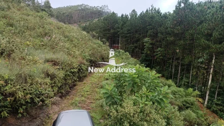 Imagem Sítio com 4.200m² à venda em Santa Leopoldina!