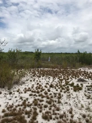 Imagem Terreno com 650.000m² à venda no bairro Velha Boipeba, em Cairu-BA