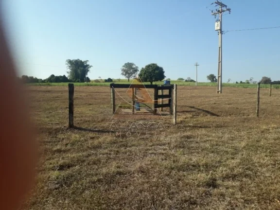 Imagem Fazenda - Cajuru - Zona Rural