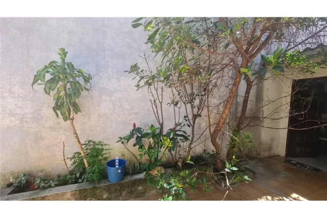 Imagem TNJ 435 Casa 601161007-25