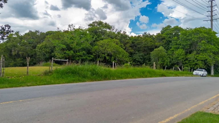 Imagem Terreno Santa Felicidade para construtores e investidores!