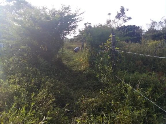 Imagem Terreno para Venda em Itanhaém, Aguapeú