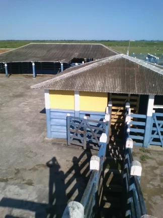 Imagem FAZENDA RURAL em LINHARES - ES, ÁREA RURAL DE LINHARES