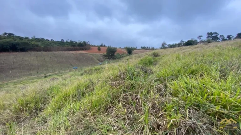 Imagem Ótima Área para Investimento em Jarinu