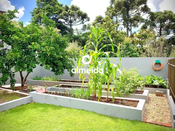 Imagem Casa 4 dormitórios à venda Parque Pinhal Itaara/RS