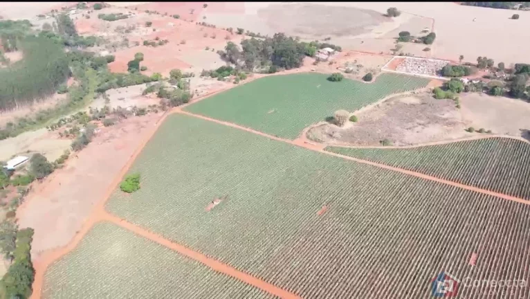 Imagem Fazenda à Venda em Patos de Minas – 46 ha, Arrendada, com Energia e Alta Rentabilidade