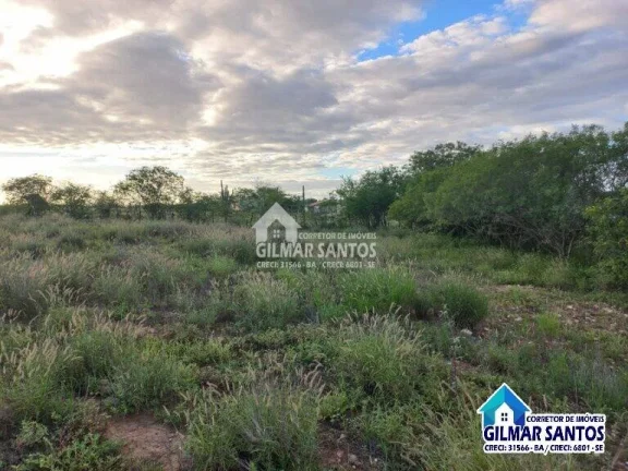Imagem Lote/Terreno no bairro zona rural, em Coronel João Sá