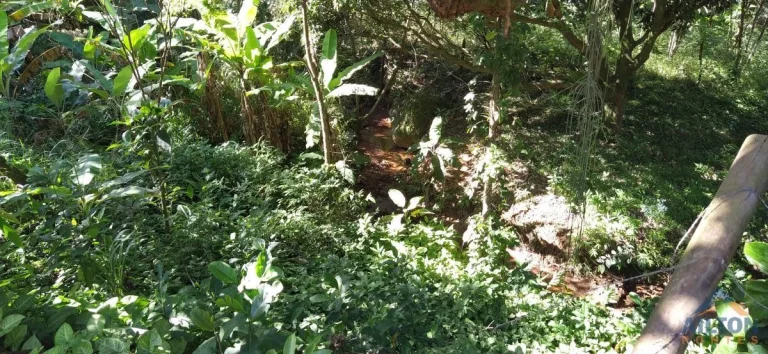 Imagem Terreno com 30.958m2, à venda em Buenos Aires - Guarapari/ES