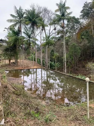 Imagem PROPRIEDADE A VENDA EM NOVA FRIBURGO - 81.000m2