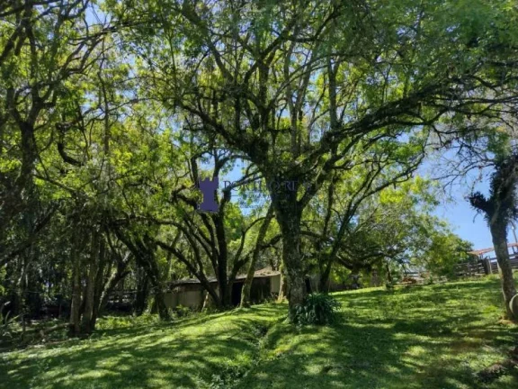 Imagem CHÁCARA COM 143.897M² NA REGIÃO DE BALSA NOVA