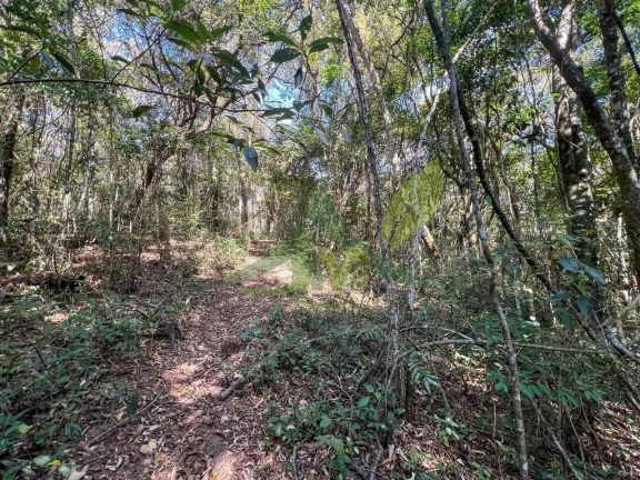 Imagem Sítio em Atibaia – Itapetinga | 15 Alqueires Melhor valor por m² da região