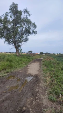 Imagem VENDO TERRENO DE 82 MILM2 SANTA CRUZ IDEAL PARA CONSTRUTORA