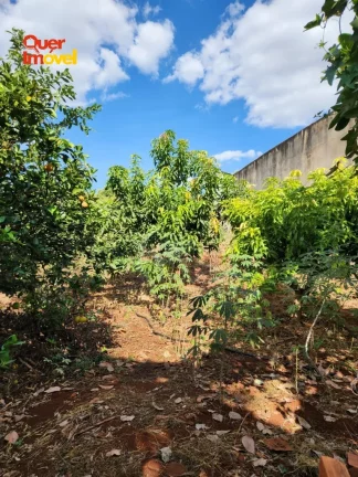 Imagem Terreno à venda na cidade de Ribeirão Preto-SP, bairro City Ribeirão, 540,50 m² de área!