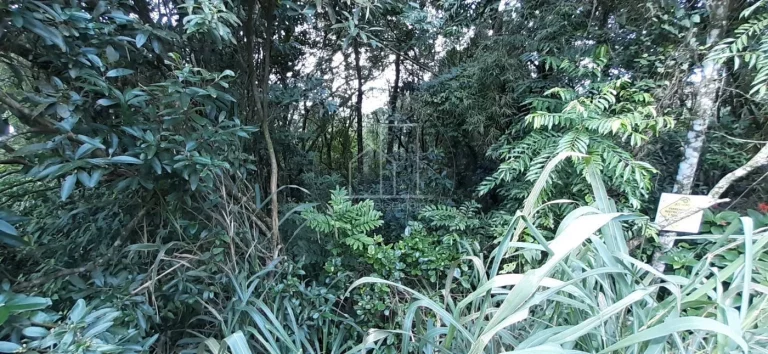 Imagem Terreno para Venda em Florianópolis / SC no bairro Vargem Grande