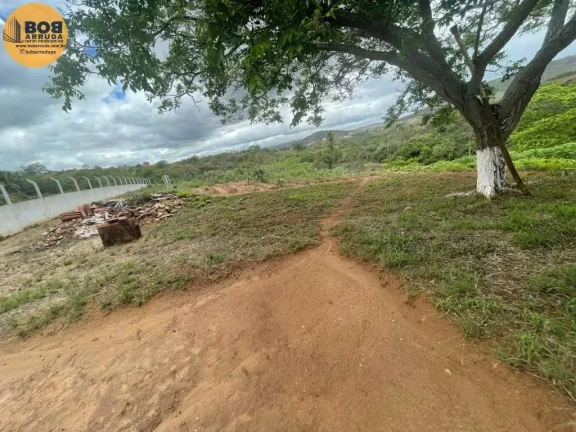 Imagem Terreno Padrão