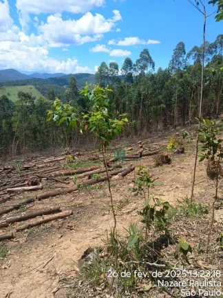 Terreno à venda, 13800 m² por R$ 403.000,00 - Centro - Nazaré Paulista/SP