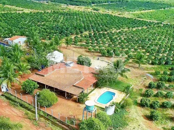 Imagem Fazenda produtiva de mangas à venda com 12,5 ha, PETROLINA - PE