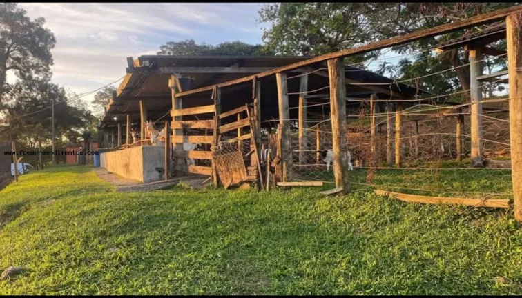 Imagem Chácara para Venda em São Pedro, --------------, 1 dormitório, 1 banheiro, 10 vagas