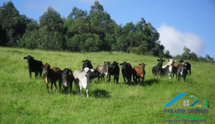 Imagem Fazenda Espetacular às Margens da Represa de Furnas - Oportunidade Única!