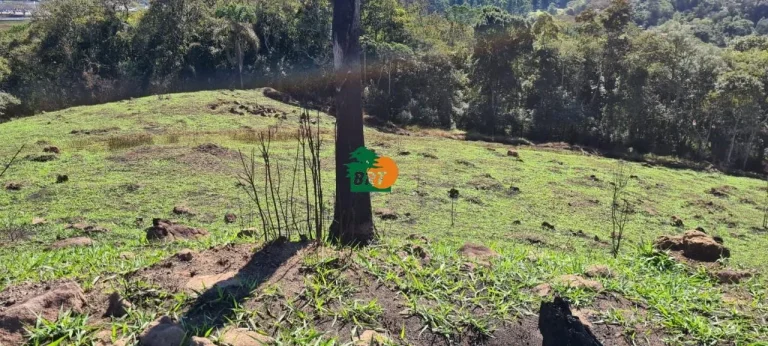 Imagem Chácara para Venda em São Roque, Centro (canguera), 3 dormitórios, 2 suítes, 1 banheiro