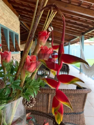 Imagem Casa para Venda em Ubatuba / SP no bairro Itaguá