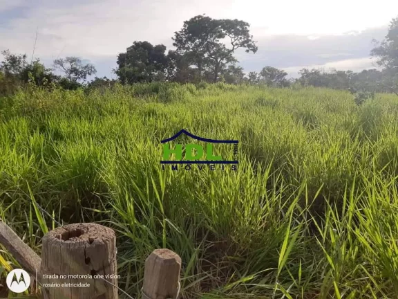 Imagem Fazenda 318 Alqs Barranca do Rio Araguaia em Araguaiana/MT