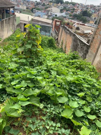 Imagem TERRENO EM JANDIRA - 240M.2 - VILA SANTO ANTÔNIO - 8X25