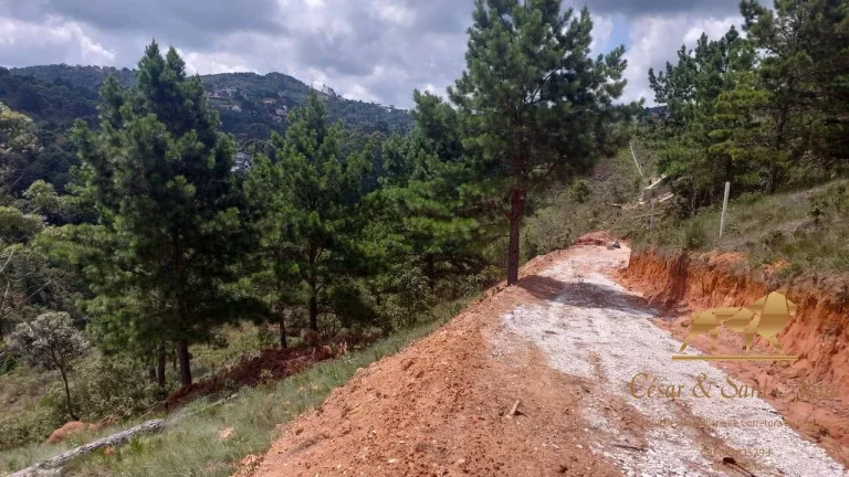 Imagem TERRENOS A VENDA EM CAMPOS DO JORDÃO-SP COM 1000M² CADA
