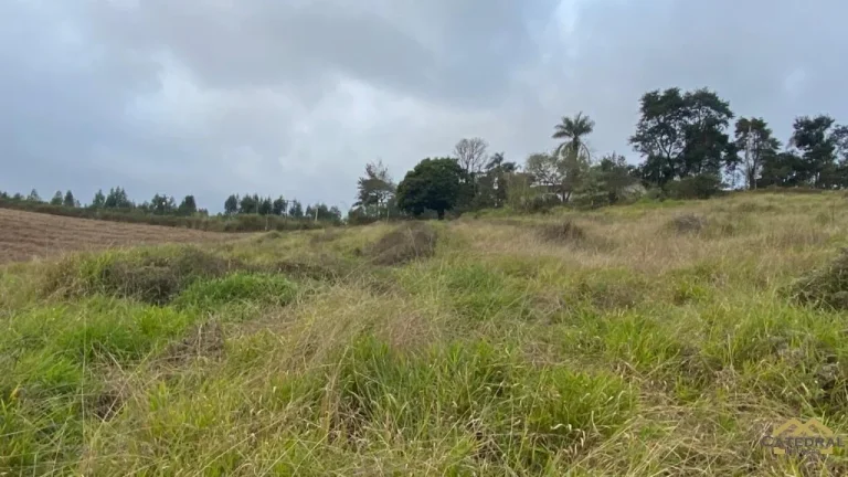 Imagem Ótima Área para Investimento em Jarinu