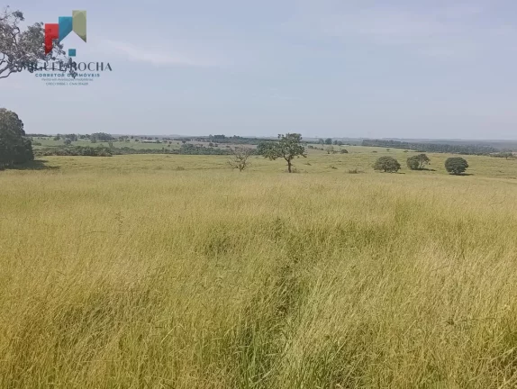 Imagem Fazenda Região Botucatu SP