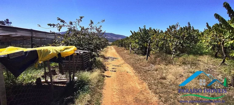 Imagem Propriedade Rural de Alto Padrão: Pronta para Produção e Investimento!