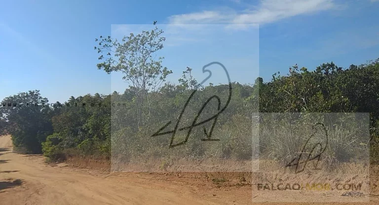 Imagem Terreno para Venda em Camaçari / BA no bairro Arembepe (Abrantes)