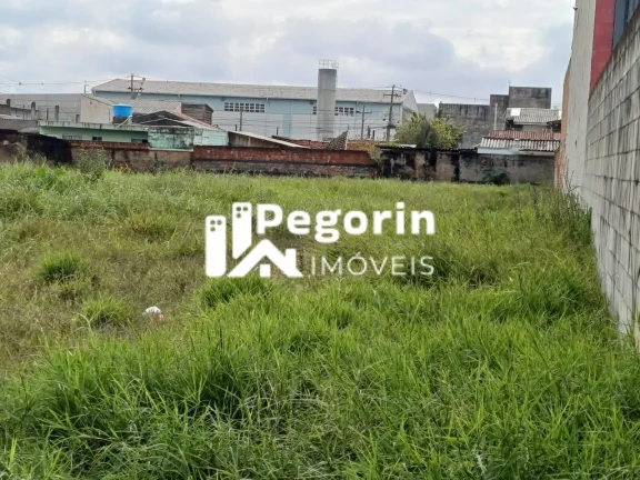 Imagem Terreno 3.510M² , Vargem Grande , Pinhais/PR