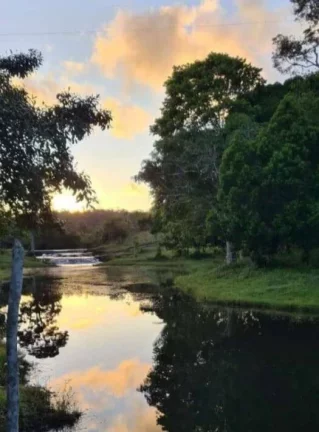 Imagem RESERVAS DO ESCONDIDO - MATA ATLÂNTICA