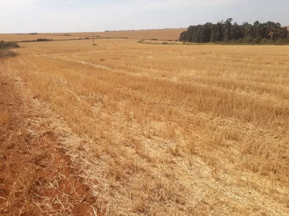 Imagem FAZENDA A VENDA - SACRAMENTO/MG