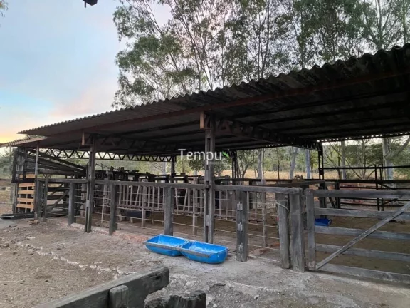 Imagem Fazenda zona Rural São Miguel do Passa Quatro, 175 ha, - GO, 36,1 Alqueires