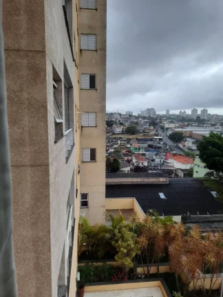 Imagem Apartamento lindo 70 m² 3 dormitórios com piscina em S.B. do Campo